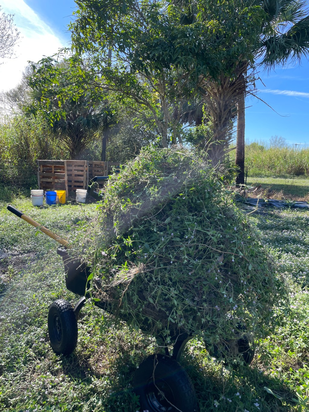 Active Composting Weather Nearing Its End