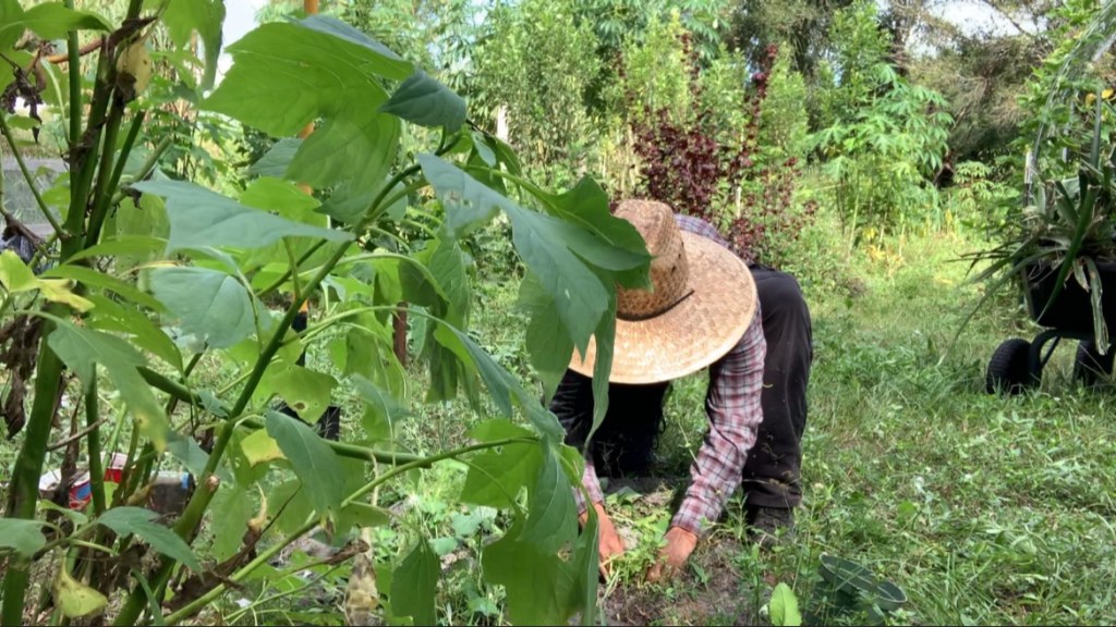 Being a Visionary IS Work