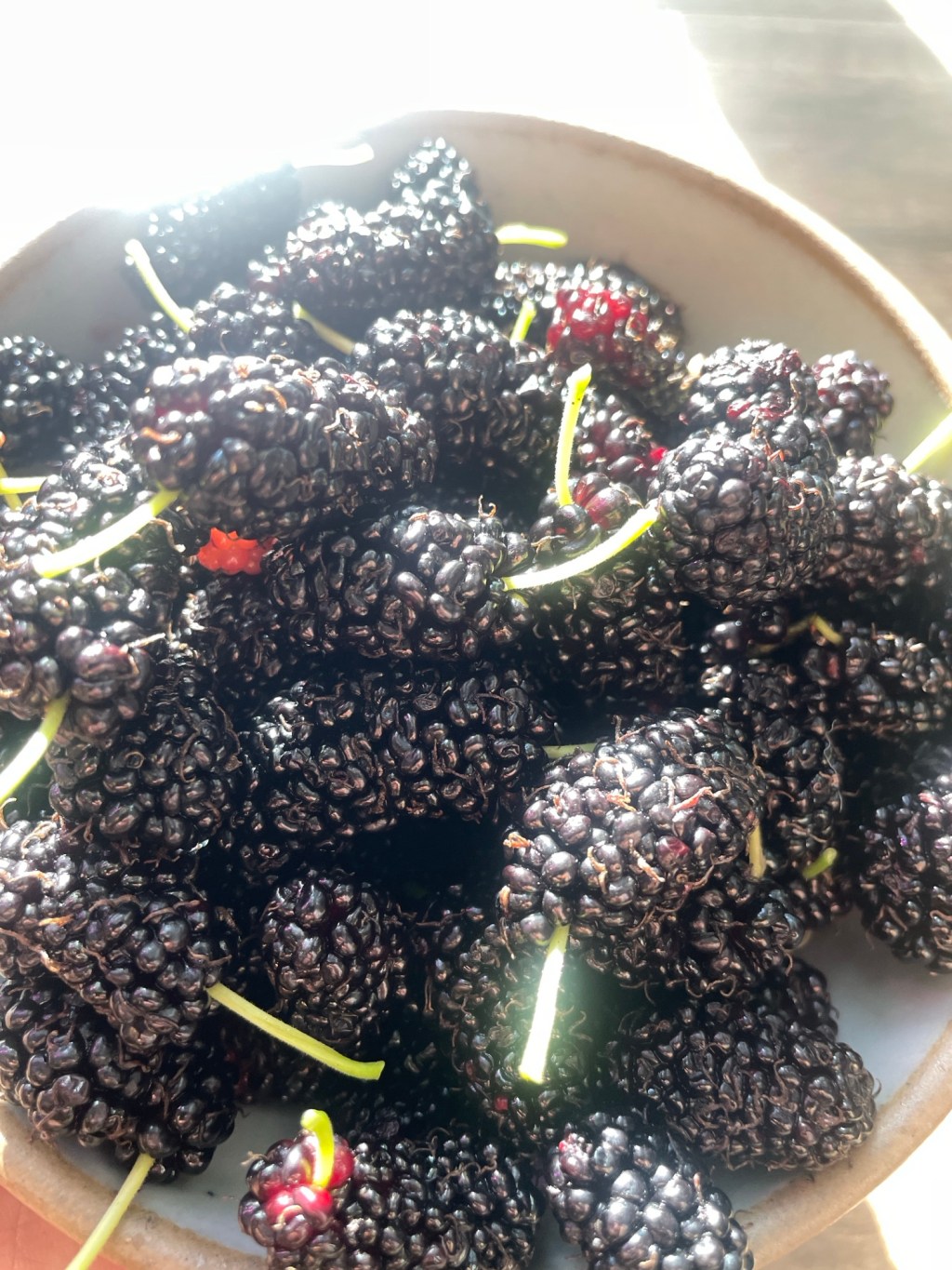 Mulberry Madness